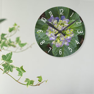 Paarse Hortensia Groen Geel Ronde Klok