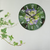 Paarse Hortensia Groen Geel Ronde Klok