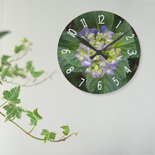 Paarse Hortensia Groen Geel Ronde Klok