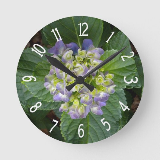 Paarse Hortensia Groen Geel Ronde Klok (Voorkant)