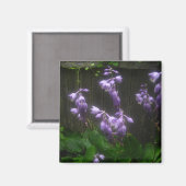 PAARSE HOSTA BELLS MAGNEET (Voorkant / Achterkant)