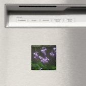 PAARSE HOSTA BELLS MAGNEET (Insitu (Vaatwasser))