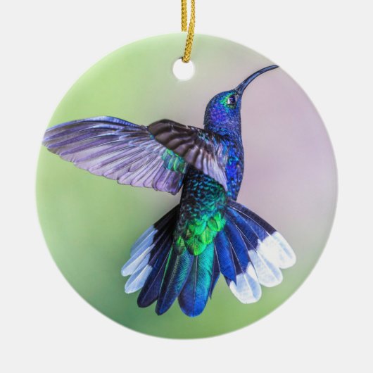 Paarse Hummingbird Flying Monogram Name Keramisch Ornament (Voorkant)