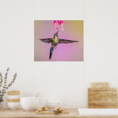 Paarse Hummingbird met een lange staart Poster (Keuken)