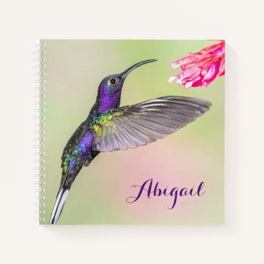 Paarse Hummingbird Mooi gepersonaliseerd Notitieboek (Voorkant)