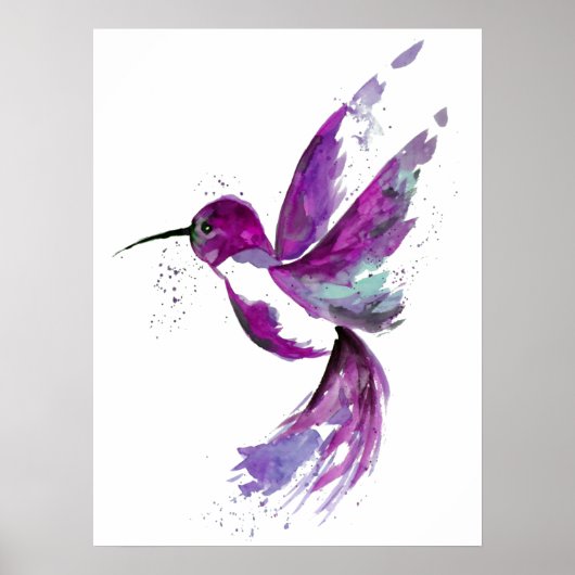 Paarse Hummingbird Poster (Voorkant)