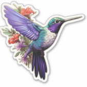 Paarse Hummingbird Sticker (Voorkant)