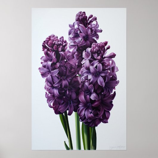Paarse Hyacint Bloemenkunst Print Poster (Voorkant)