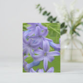 Paarse Hyacint Close Up DIY Briefkaart (Staand voorkant)