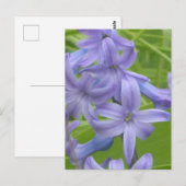 Paarse Hyacint Close Up DIY Briefkaart (Voorkant / Achterkant)