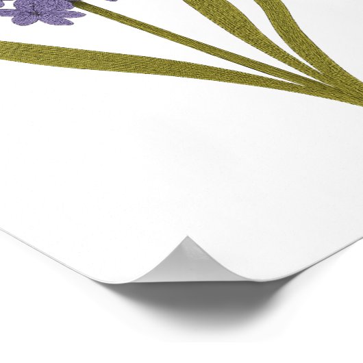 Paarse Hyacint - Verdriet, vergeving Poster (Hoek)