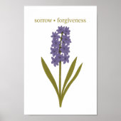 Paarse Hyacint - Verdriet, vergeving Poster (Voorkant)