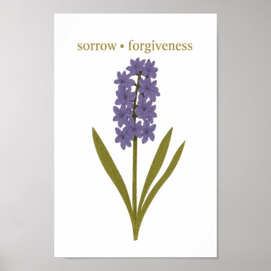 Paarse Hyacint - Verdriet, vergeving Poster (Voorkant)