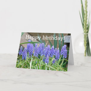 Paarse Hyacinth Birthday Blessenkaart Kaart