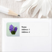 Paarse Hyacinth Duo Etiket (Insitu)