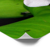 Paarse hyacinth poster (Hoek)