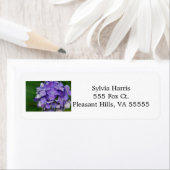 Paarse Hydrangea Adresetiketten Etiket (Insitu)