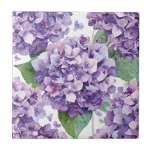 Paarse Hydrangea Aquarel Bloemige Lavendel Bloei