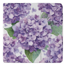 Paarse Hydrangea Aquarel Bloemige Lavendel Bloei