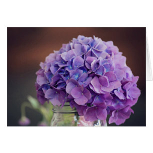 Paarse hydrangea Blanco Kaarten