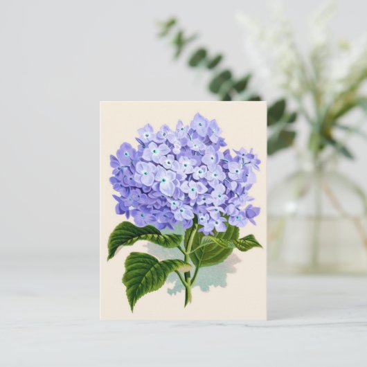 Paarse hydrangea Botanische afdruk Briefkaart (Staand voorkant)