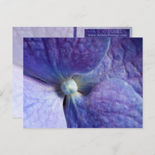 Paarse Hydrangea Evenement en Trouw Aankondiging (Voorkant / Achterkant)