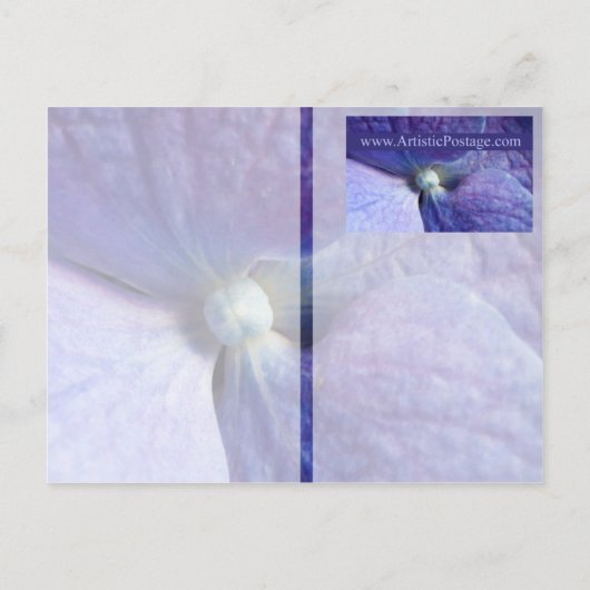 Paarse Hydrangea Evenement en Trouw Aankondiging (Achterkant)