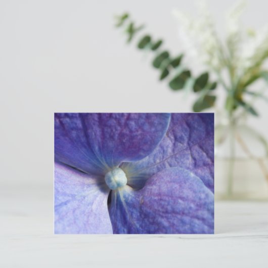 Paarse Hydrangea Evenementen en Trouw Aankondiging (Staand voorkant)