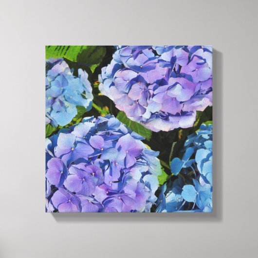Paarse Hydrangea Plant Canvas Afdruk (Voorkant)
