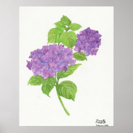 Paarse Hydrangea Poster