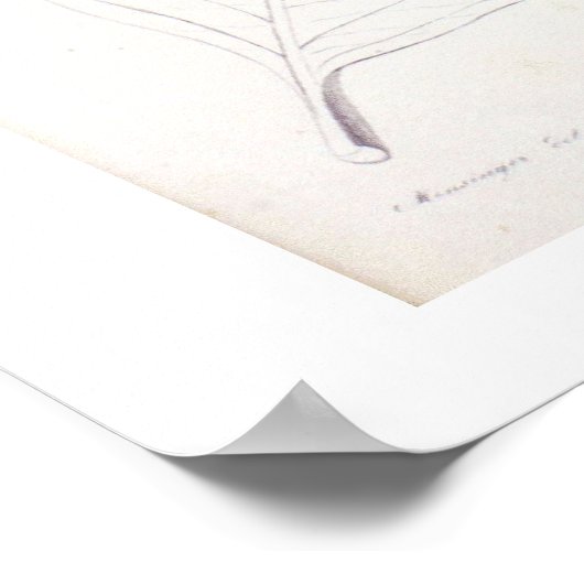 Paarse hydrangea Poster voor botanische tekening (Hoek)