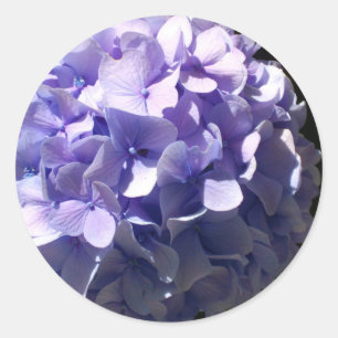 Paarse Hydrangea Ronde Sticker
