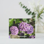 Paarse Hydrangea Schakeringen Briefkaart (Staand voorkant)