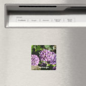 Paarse Hydrangea Schakeringen Magneet (Insitu (Vaatwasser))