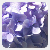 Paarse Hydrangea Vierkante Sticker (Voorkant)