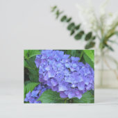 Paarse hydrangeas briefkaart (Staand voorkant)