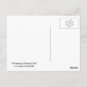 Paarse hydrangeas briefkaart (Achterkant)