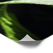 Paarse Hydrangeas Flowers Poster (Hoek)