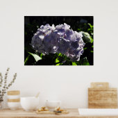 Paarse Hydrangeas Flowers Poster (Keuken)