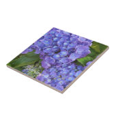 Paarse Hydrangea's Tegeltje (Zijkant)