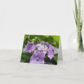 Paarse hydrangeas Thinking of You Kaart (Voorkant)