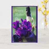 Paarse Iris 2914xc- elke gelegenheid aanpassen Kaart (Gele Bloem)