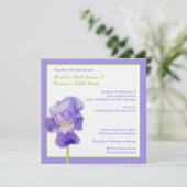 Paarse Iris 2 Weddenschap Kaart (Staand voorkant)
