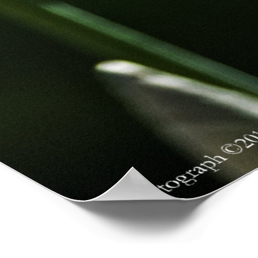 Paarse Iris 8393 Afdrukken Poster (Hoek)