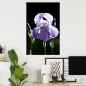 Paarse Iris 8393 Afdrukken Poster (Thuiskantoor)