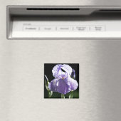 Paarse Iris 8393 Magnet (Insitu (Vaatwasser))