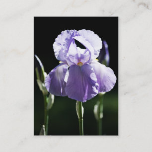 Paarse Iris 8393 Mini Print Visitekaartje