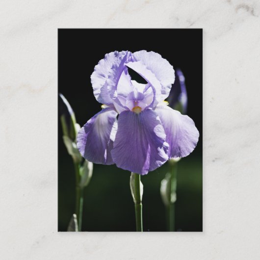 Paarse Iris 8393 Mini Print Visitekaartje (Voorkant)
