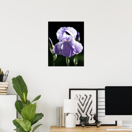 Paarse Iris 8393 Print (Thuiskantoor)