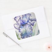 Paarse Iris Art Waterverf Birthday Uitnodiging Vierkante Sticker (Envelop)